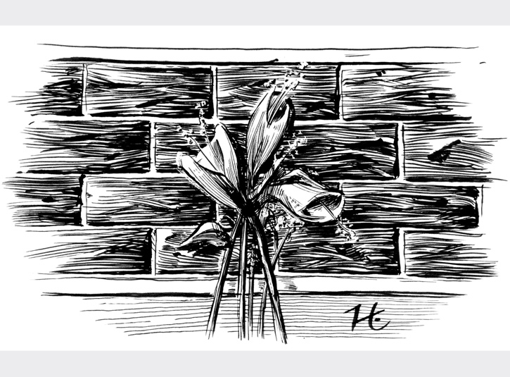 Quick 30 minute sketch. Pigma brush pen on paper, roughly 4 x 6.